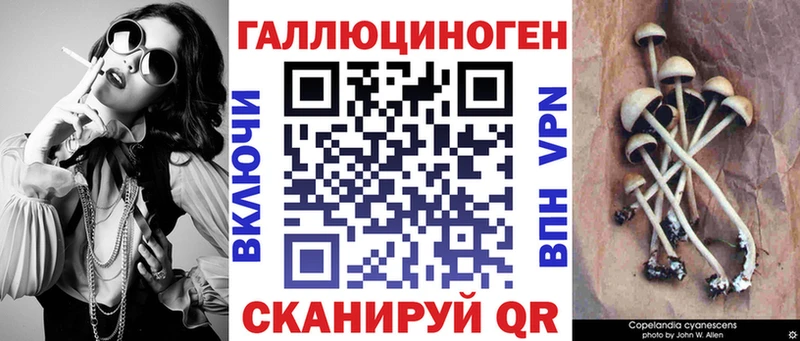Псилоцибиновые грибы Psilocybe  ссылка на мегу маркетплейс  Сыктывкар 